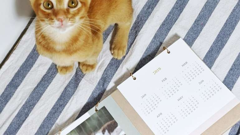 2019 Calendar – Distribution Partners