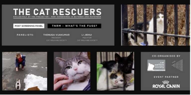 Partnerships / Collaborations – cat welfare society